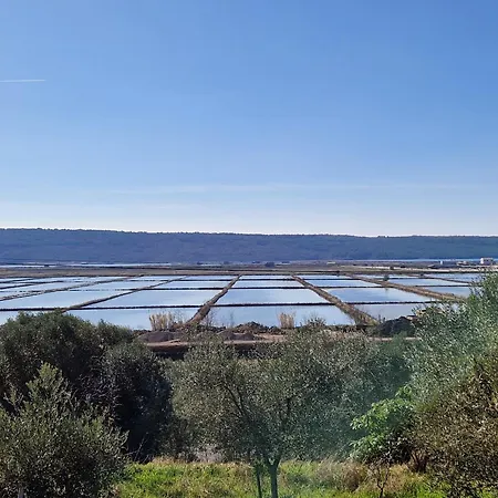 Apartment Salt & Sun